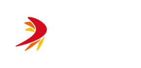 Logo support.captusite.io